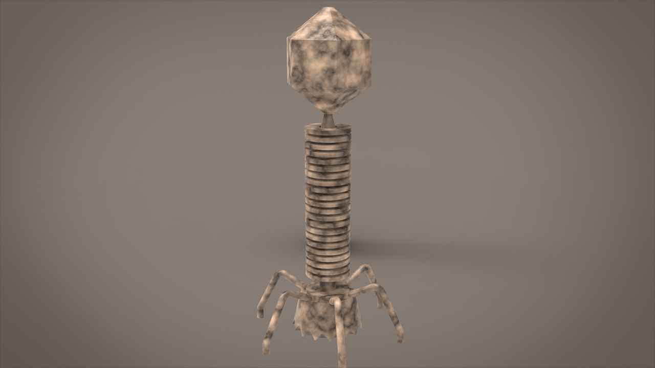 T2噬菌体.jpg T2噬菌体.jpg