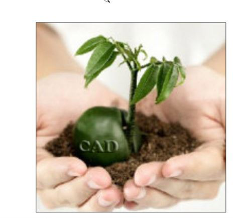 CAD中的图片的边框怎么去除? CAD中的图片的边框怎么去除?