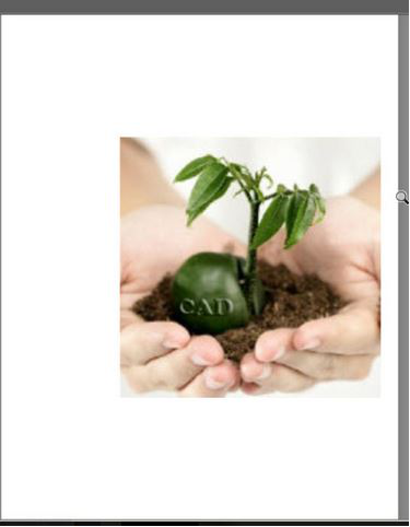 CAD中的图片的边框怎么去除? CAD中的图片的边框怎么去除?