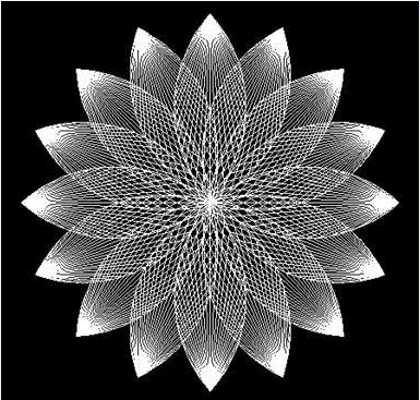 用CAD如何画荷花 用CAD如何画荷花