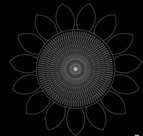 怎么用CAD画一朵向日葵 怎么用CAD画一朵向日葵