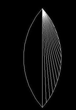 CAD荷花的绘制方法 CAD荷花的绘制方法