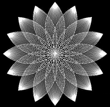 怎样用CAD设计荷花? 怎样用CAD设计荷花?