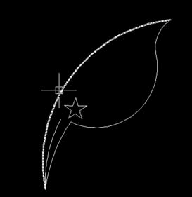 CAD紫荆花绘制方法 CAD紫荆花绘制方法